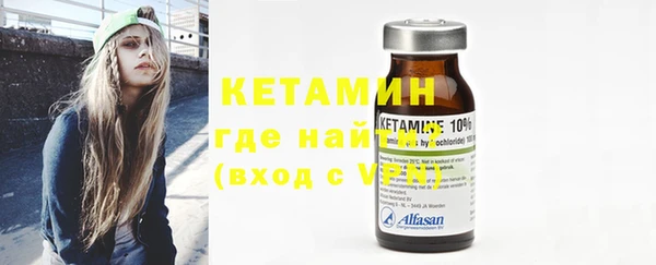 шишки Тайга