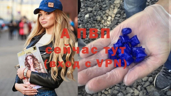 гашик Белокуриха