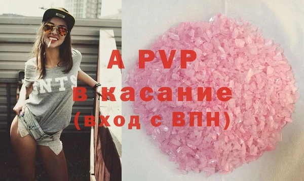 прущие грибы Беломорск
