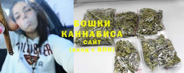 прущие грибы Беломорск