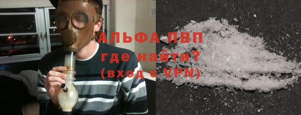 прущие грибы Беломорск