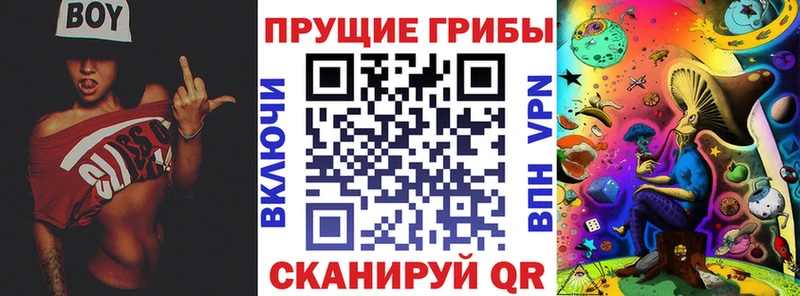 Галлюциногенные грибы прущие грибы  где найти наркотики  Красный Сулин 